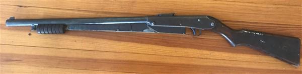 Pellet gun: Pellet gun