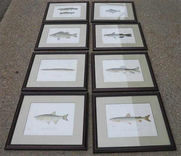 8 framed Denton prints (1 of 5)