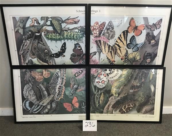 4 Prints as a Collage 48"x51.5" (1 of 3)