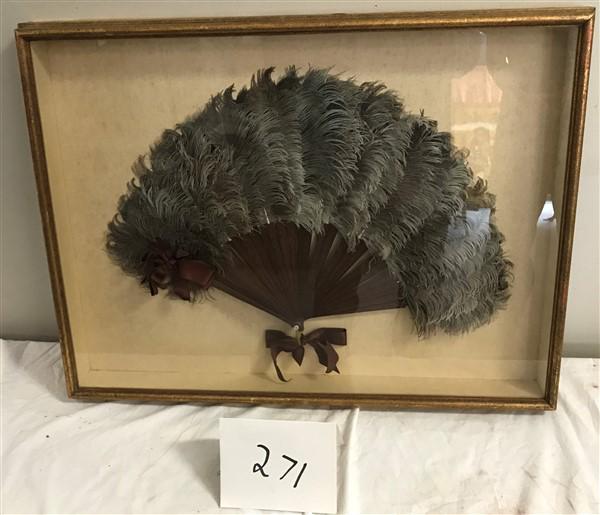 Framed Ostrich Feather (1 of 1)