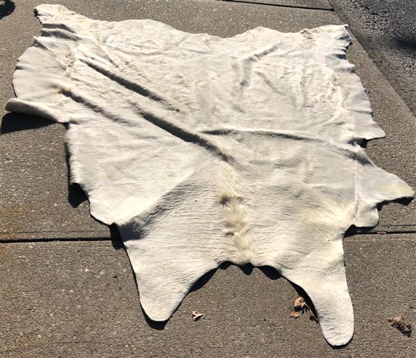 Hide Rug: Hide Rug
