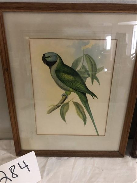 2 Nice Quality Bird Prints (1 of 4)