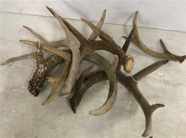 5 Antlers: 5 Antlers