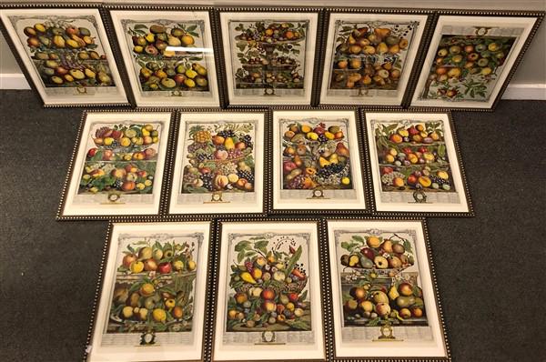 12 "Month" Framed Still Life Prints (1 of 14)