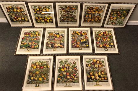 12 "Month" Framed Still Life Prints: 12 Framed Still Life Prints