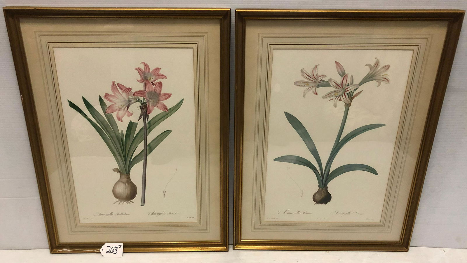 Lovely Pr. of Framed Botanicals 21.5"x28.5" (1 of 5)