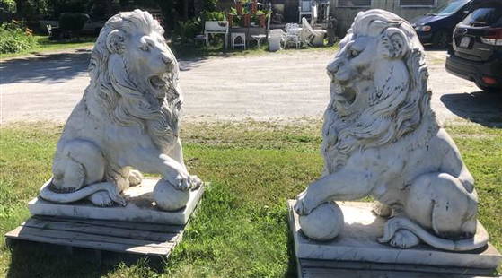 Pr. Of Life Size Marble Lions- Searles Castle: Pr. Of Life Size Marble Lions- Searles Castle Base 20"w x 43"L x 53"h