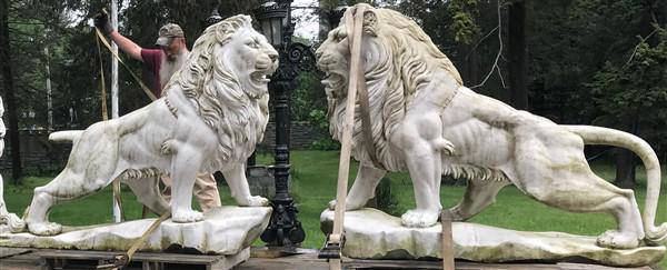 Pr. of Life Size Marble Lions: Pr. of Life Size Marble Lions- One missing tooth and tailFull body0 72"L x 56"h, Base 24"