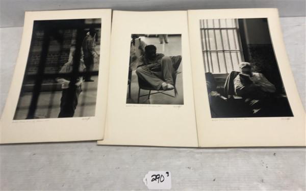 3 Photographs A.E. Woolley (1 of 5)
