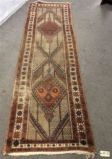 Persian Long Rug: Persian Long Rug 3'x10'