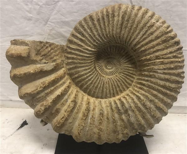 Stone Sculpture on Stand (1 of 6)