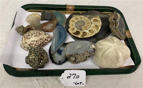 Tray of Geodes, Shells, and Naturalistic Items: Tray of Geodes, Shells, and Naturalistic Items