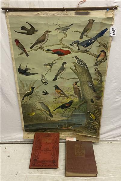 Audubon Chart, Audubon Book, Matthew Brady Civil War Book (1 of 12)