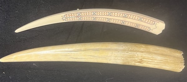 Tusk and Scrimshaw Cribbage Board: Tusk and Scrimshaw Cribbage Board