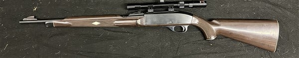 Remington 22 With Scope: Remington 22 With Scope