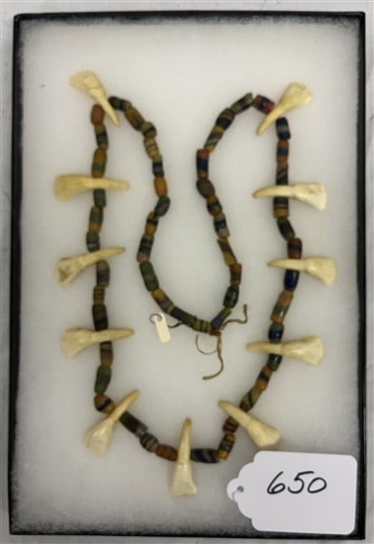Elk Tooth Necklace: Elk Tooth Necklace