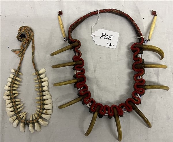 Bear Claw and Buffalo Tooth Necklace: Bear Claw and Buffalo Tooth Necklace