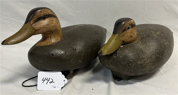 2 Decoys, H Pember (1 of 2)