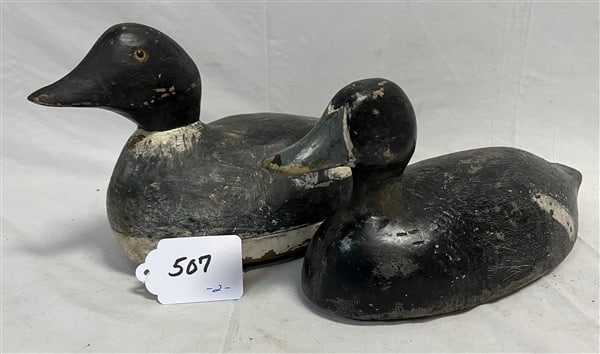 2 Early Decoys (1 of 1)