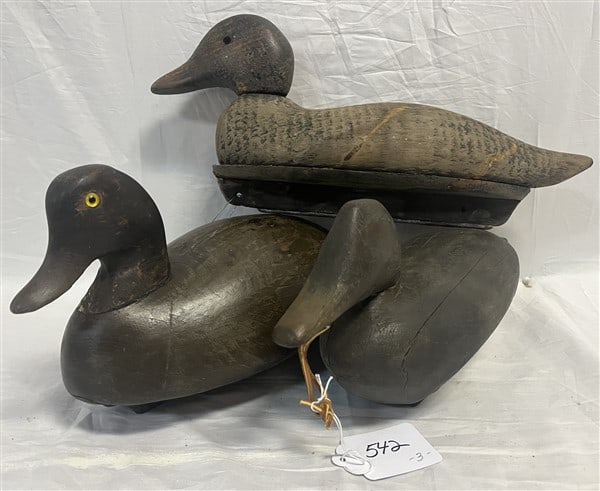 3 MORE Good Early Decoys (1 of 2)