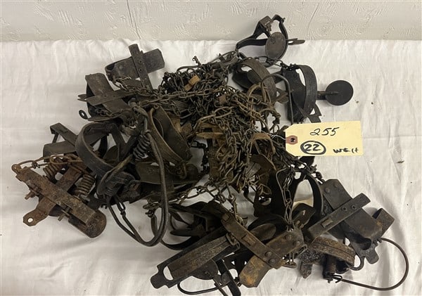 22 Mink/Muskrat Traps: 22 Mink/Muskrat Traps
