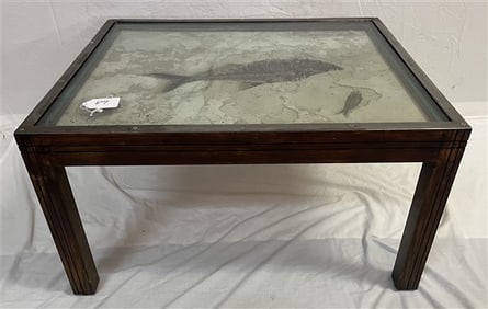 Low Table with Encased Fossil
