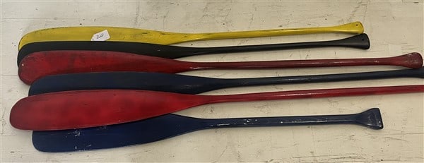 6 Painted Paddles