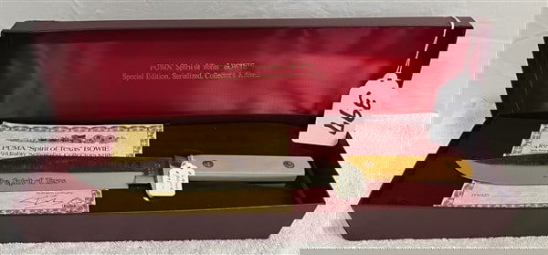 Puma "Spirit of Texas" Bowie Knife (1 of 2)