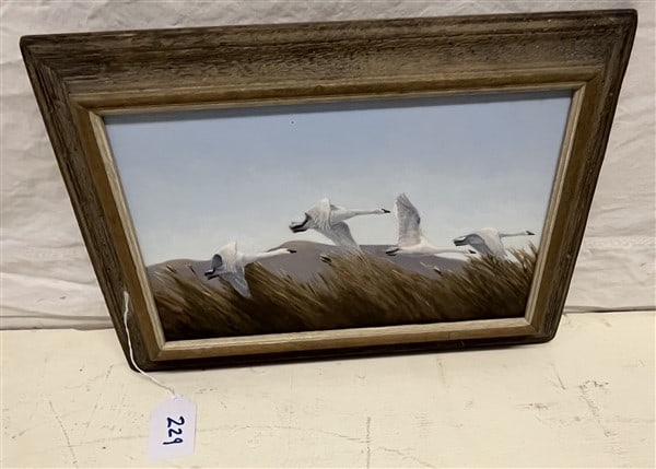 o/b "Whistling Swans" by Eva Van Rign - 13" x 18" (1 of 4)