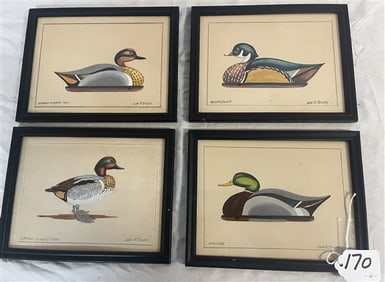 4 Duck Drawings - WM Tyner 7" x 9"