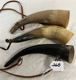 3 Horns