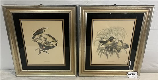 2 Framed Bird Prints - 13" x 16"