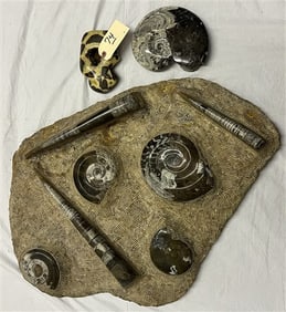 3 Decorative Stone sculptures - Beautifully Done