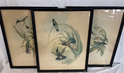 3 1940s Framed Hummingbird Prints - 17 x 21 J.B. Fischer and Gould