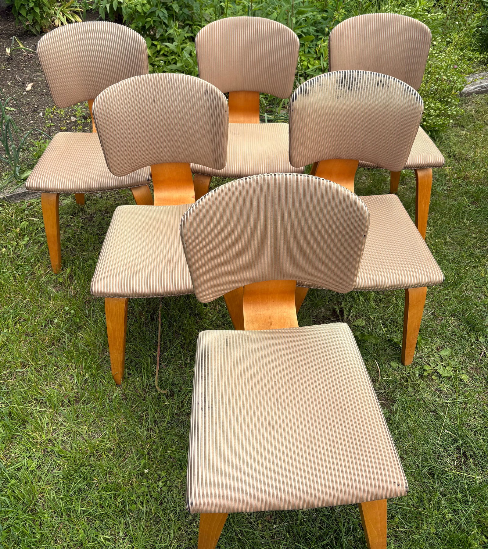 6 Vintage Eames chairs with Donghia fabric