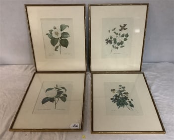 3 Redoute' Botanical Prints - 17" x 21" 10 lbs total