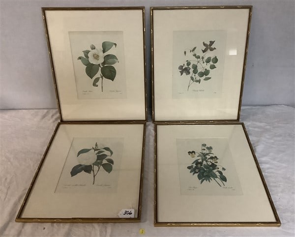 3 Redoute' Botanical Prints - 17" x 21" 10 lbs total (1 of 4)