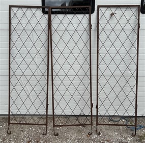 3 Early Metal Garden Gates
