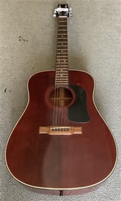 Washboard Acoustic Guitar