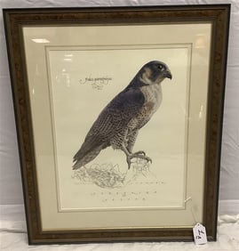 Pencil Signed Colored Lithograph