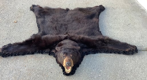 black Bear Skin Rug