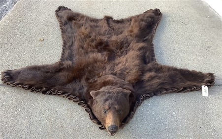 Brown Bear Skin Rug
