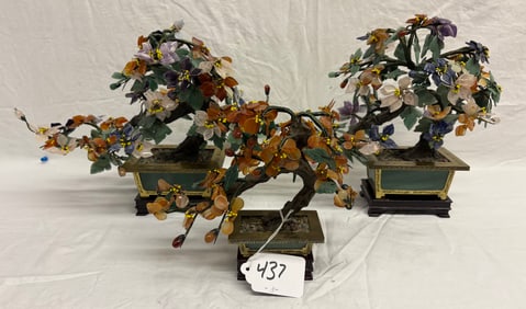 3 Oriental Jade Trees