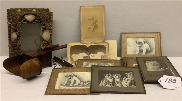 Shell Frames, Viewer and Cards, Animal Prints: Shell Frames, Viewer and Cards, Animal Prints