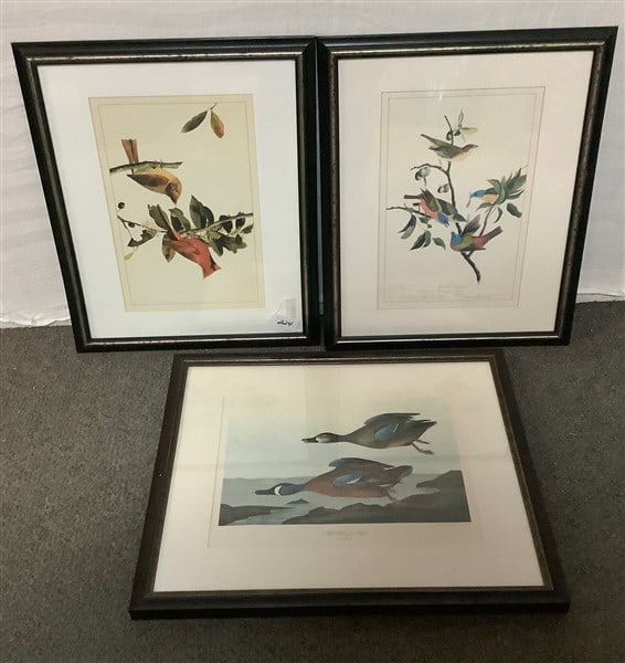 3 Framed Color Prints Large Print 20 x 24 (1 of 3)