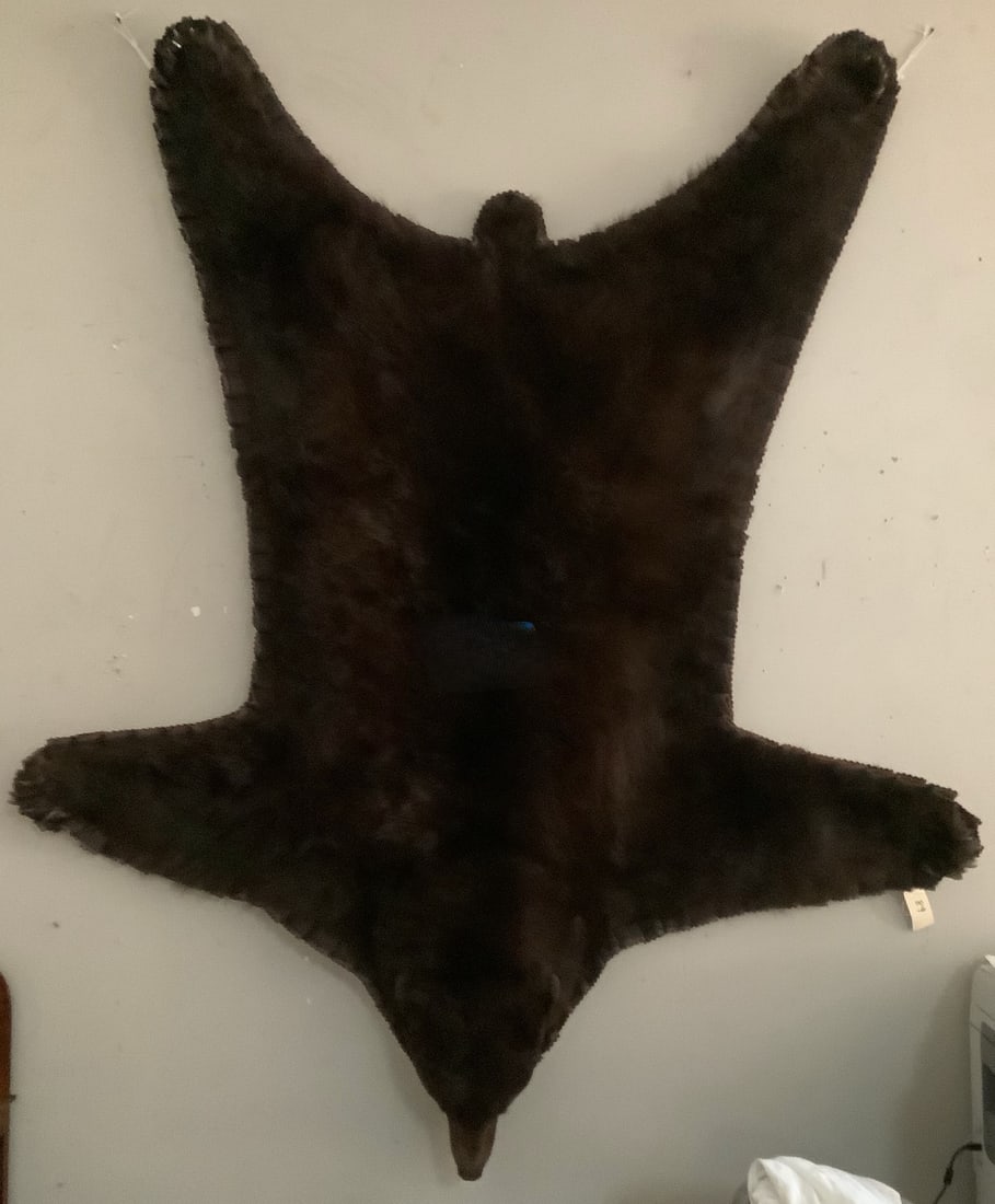 Beautiful Bear Skin Rug (1 of 2)