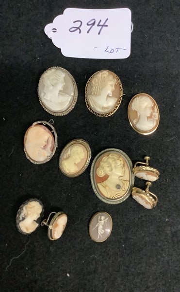 Cameo Pins and Earrings: Cameo Pins and Earrings