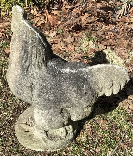 19" Concrete Rooster (1 of 2)