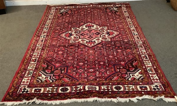 Persian Hamadan 5' x 9' (1 of 4)