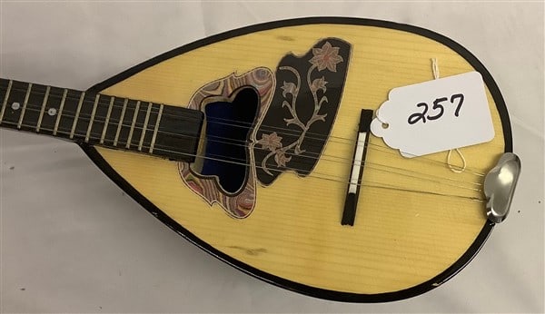 Mandolin - 2